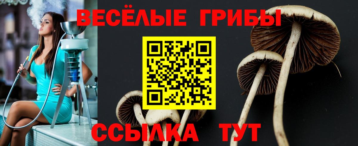 Галлюциногенные грибы ЛСД Миасс