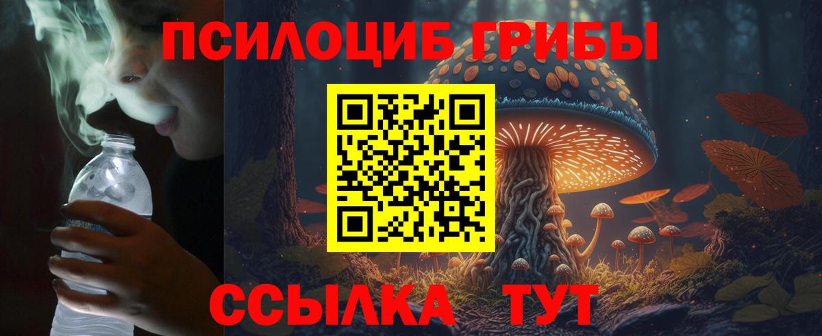 Миасс  Псилоцибиновые грибы Psilocybe  Вход с VPN 